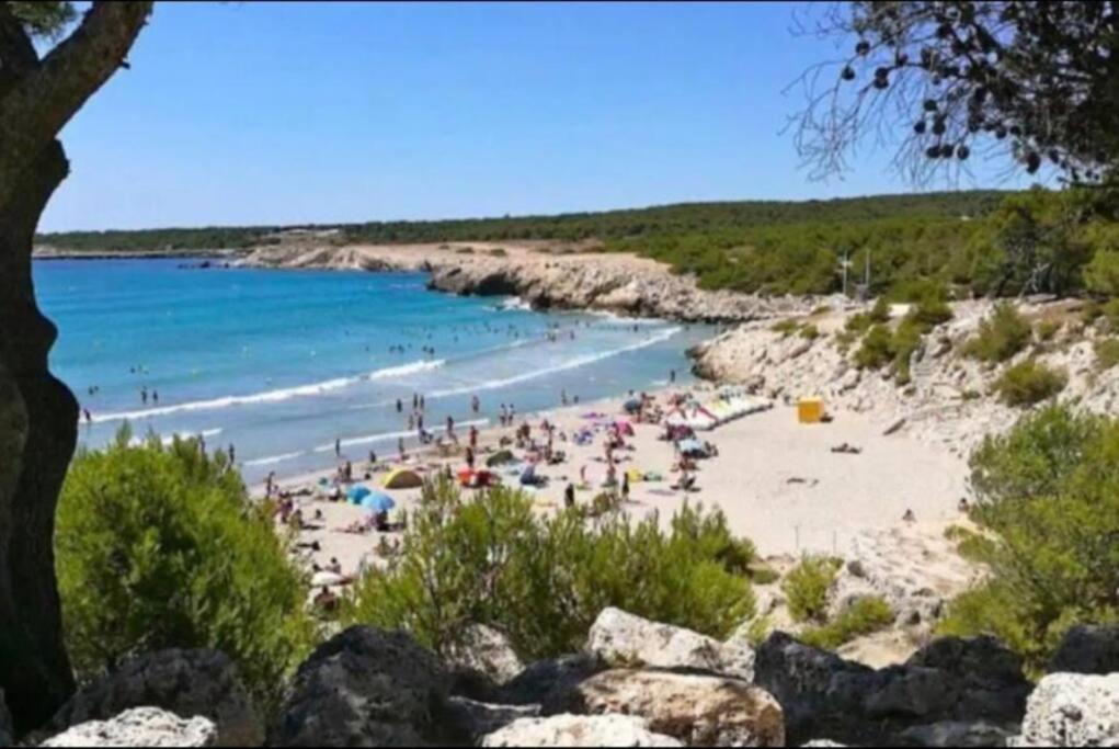 Studio Mer Et Vacances Sausset-les-Pins Exterior foto
